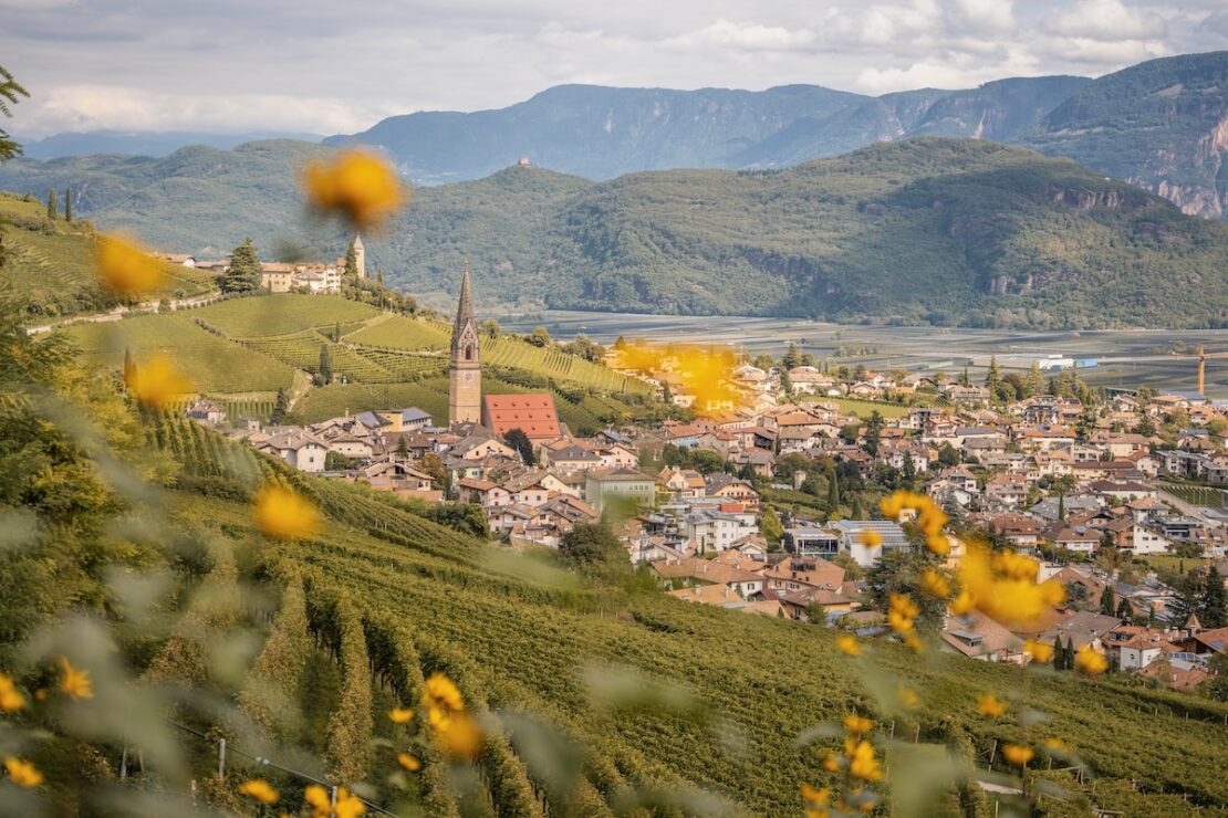 Weinreisen nach Südtirol
