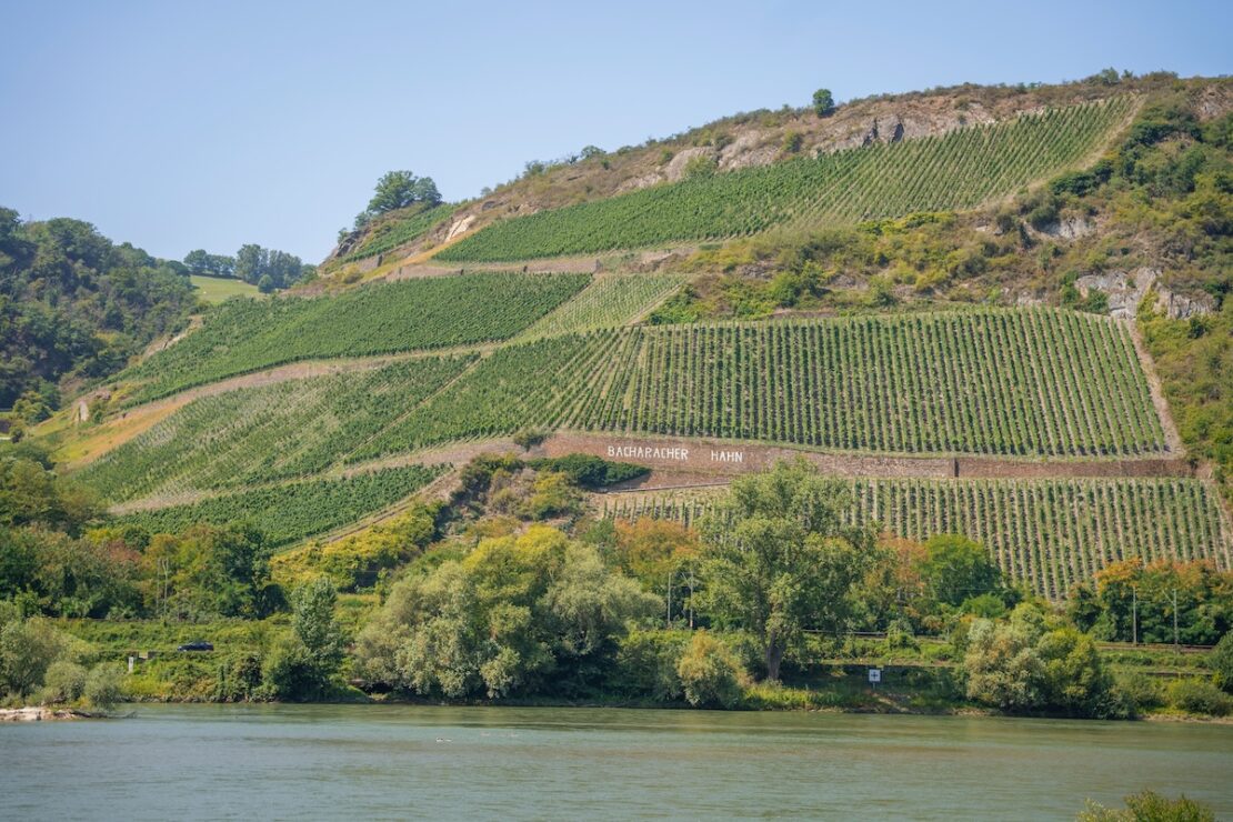 Steillagen am Mittelrhein