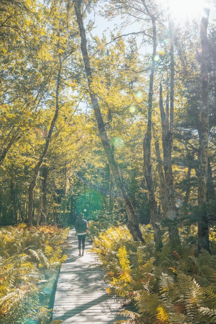 Wandern im Kejimkujik Nationalpark Nova Scotia Kanada