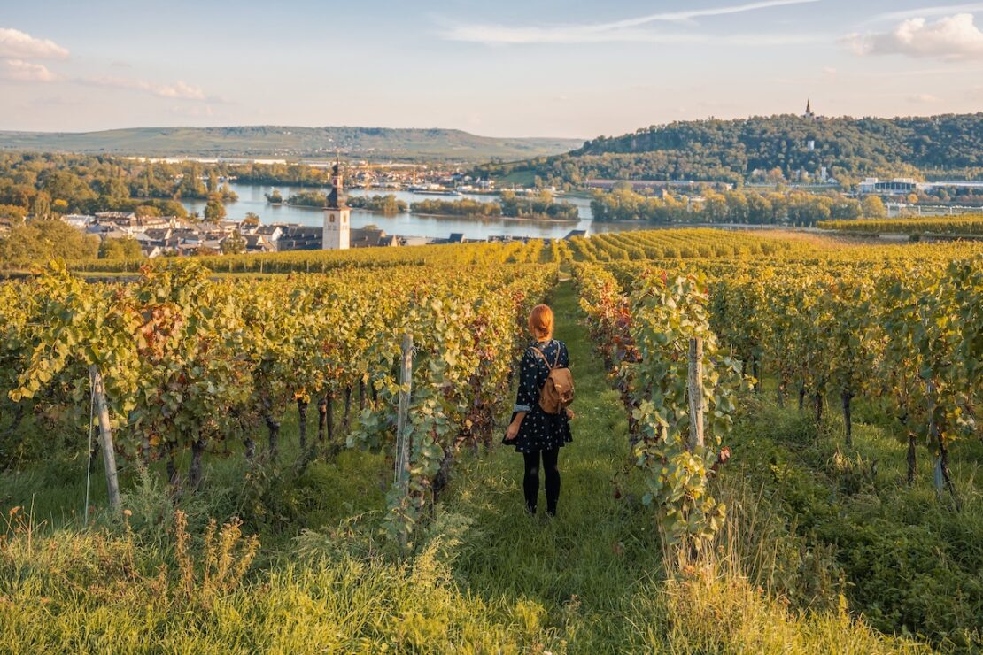 Weinanbaugebiet Mittelrhein