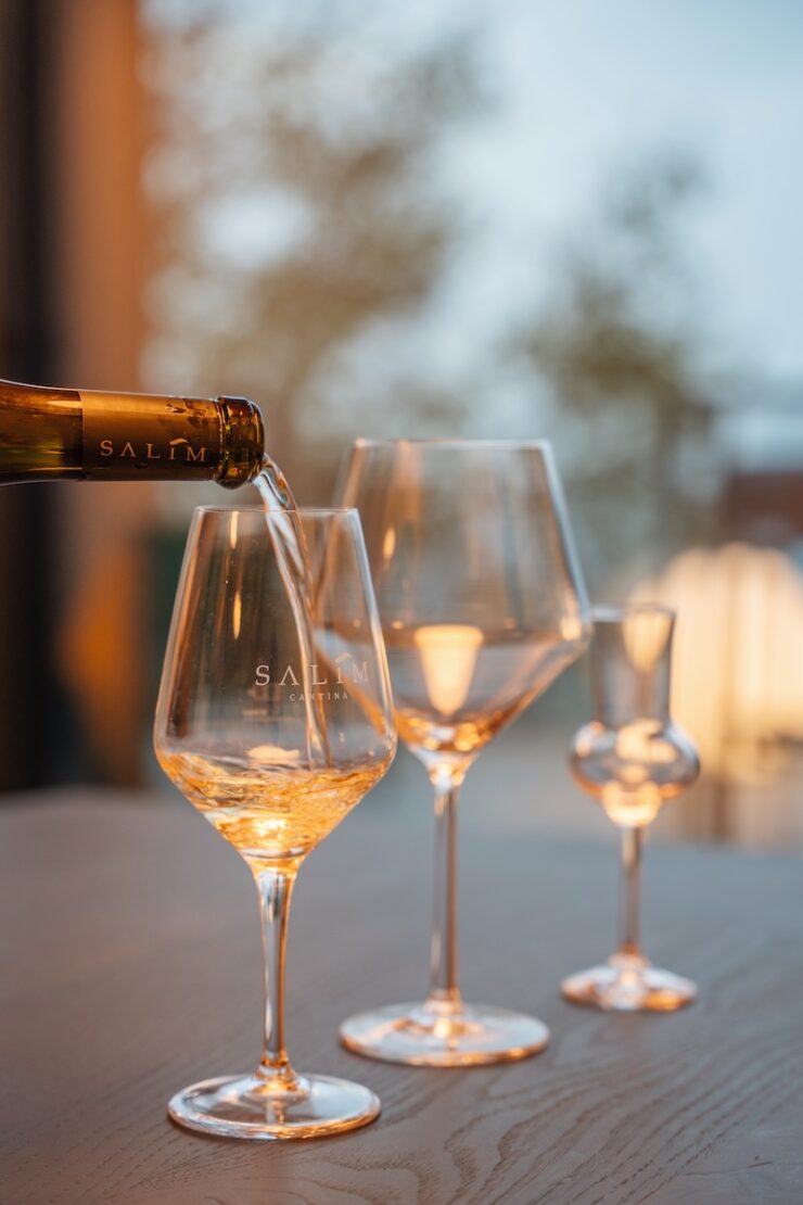 Weinprobe im Garda Trentino