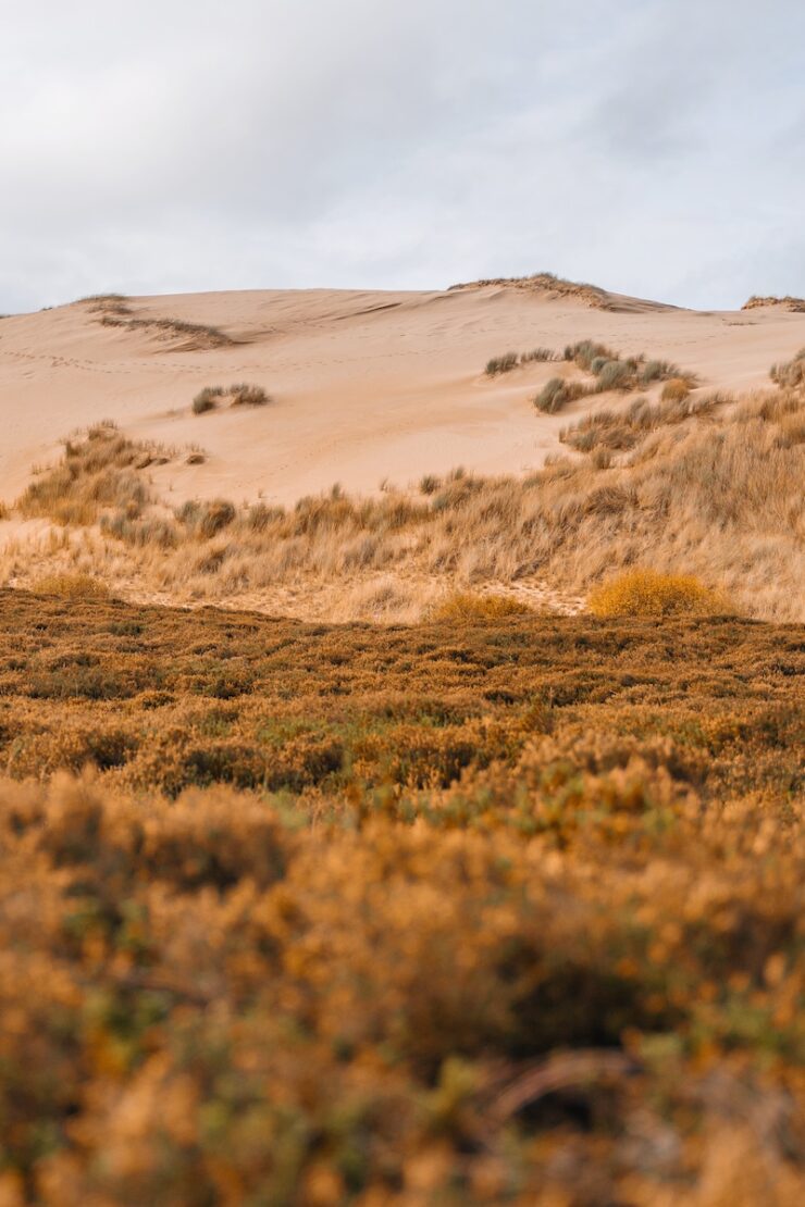 Wanderdüne List im Herbst