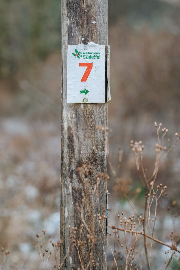 Wanderweg Naturpark Südeifel