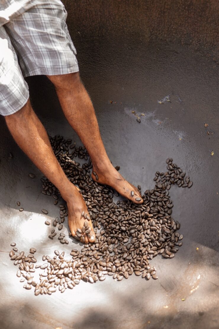 Found Doux Kakaoplantage auf Saint Lucia