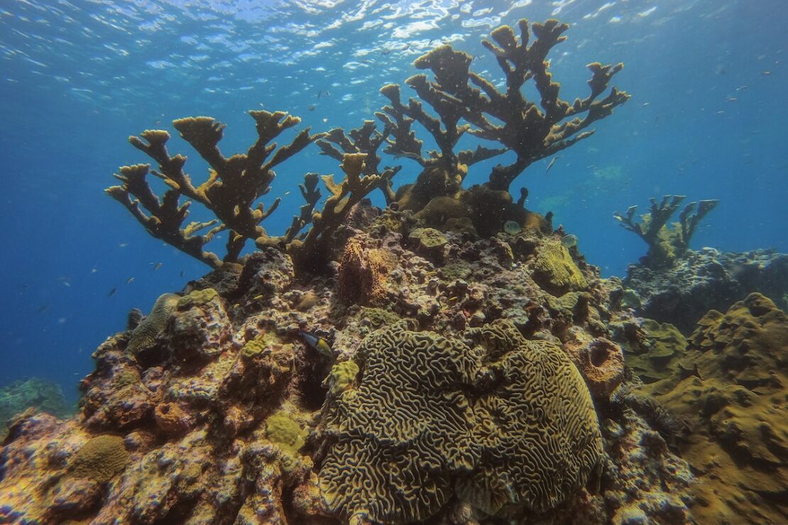 Tauchen auf Saint Lucia