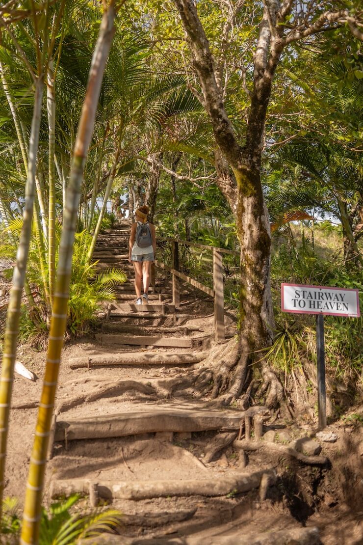 Tet Paul Nature Trail Saint Lucia Karibik