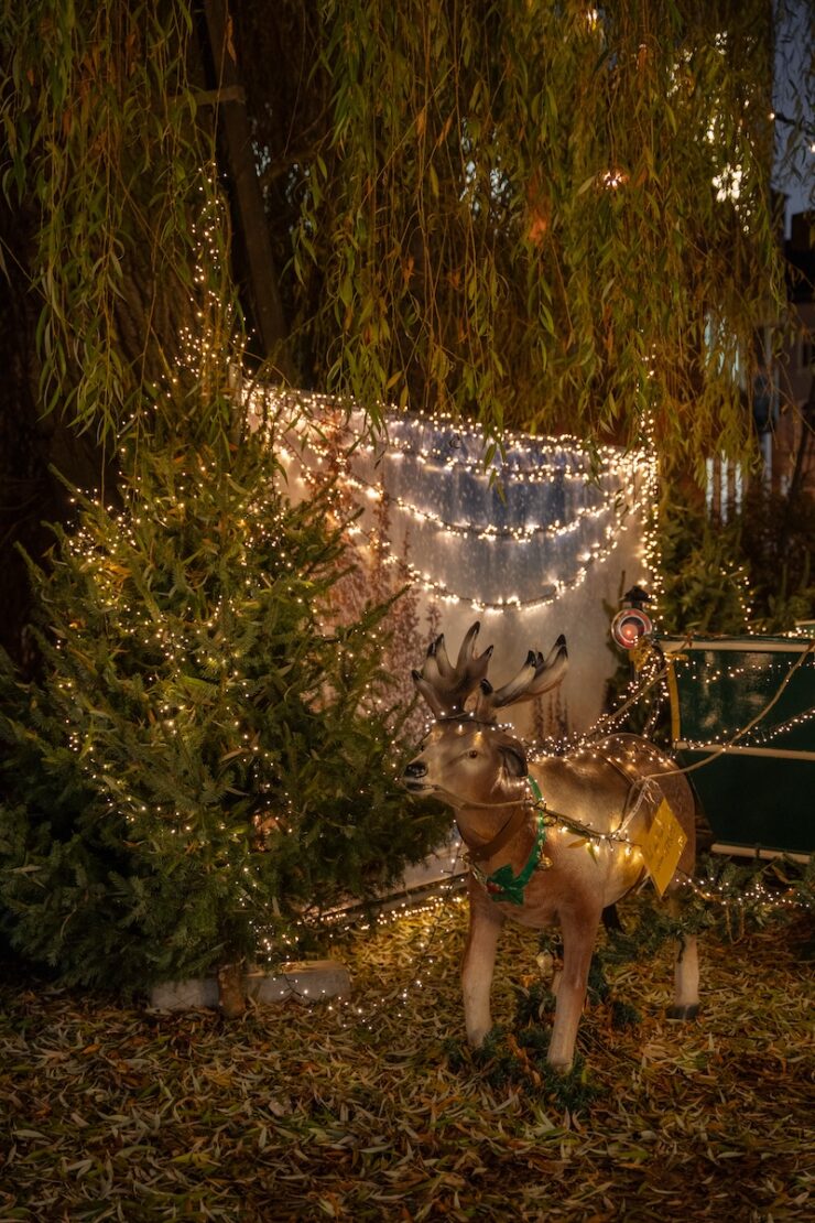 Weihnachtsmarkt an der Elisabethkirche in Marburg