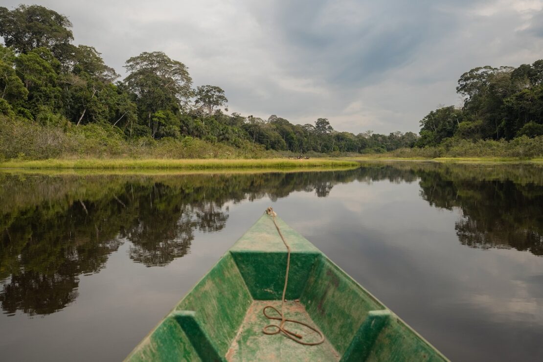 Dschungel Peru Puerto Maldonado