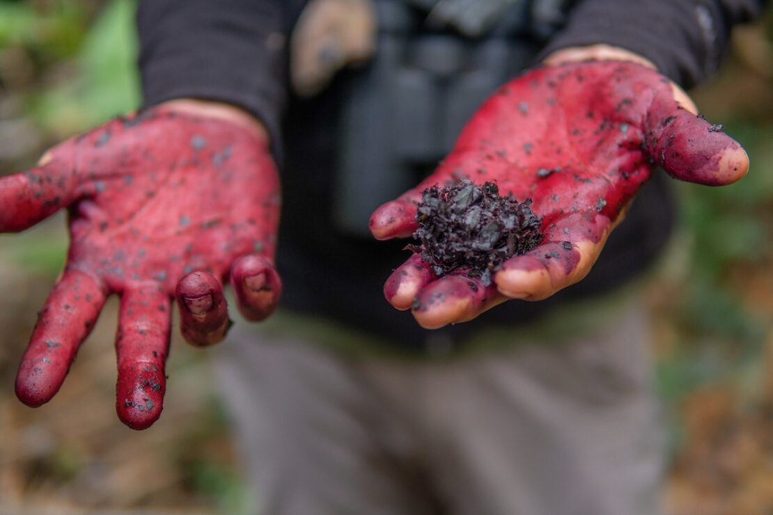 Dschungelschutz bei einer Wanderung durch den Amazonas Regenwald in Peru