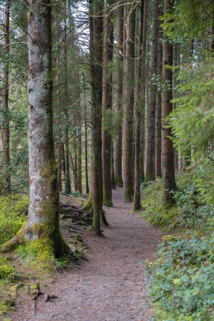 So geht nachhaltig reisen in Irland