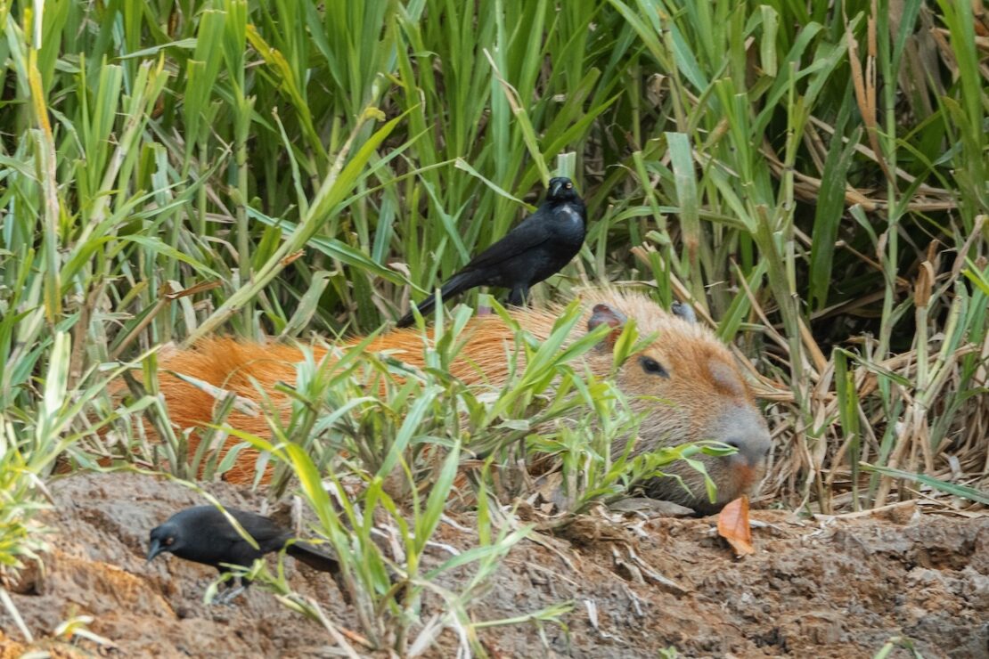 Wann ist die beste Reisezeit für Puerto Maldonado?