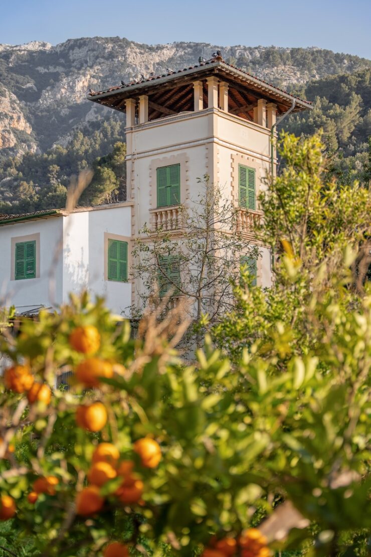 Reiseziele im Frühling Mallorca