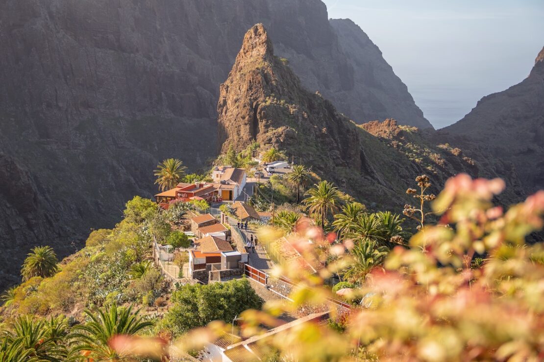 Teneriffa wird auch die Insel des ewigen Frühlings genannt