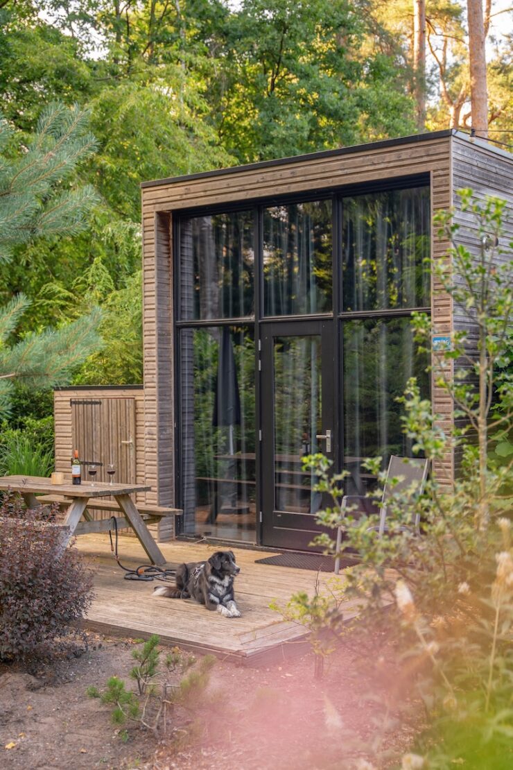 Urlaub mit Hund im Ferienpark Roompot