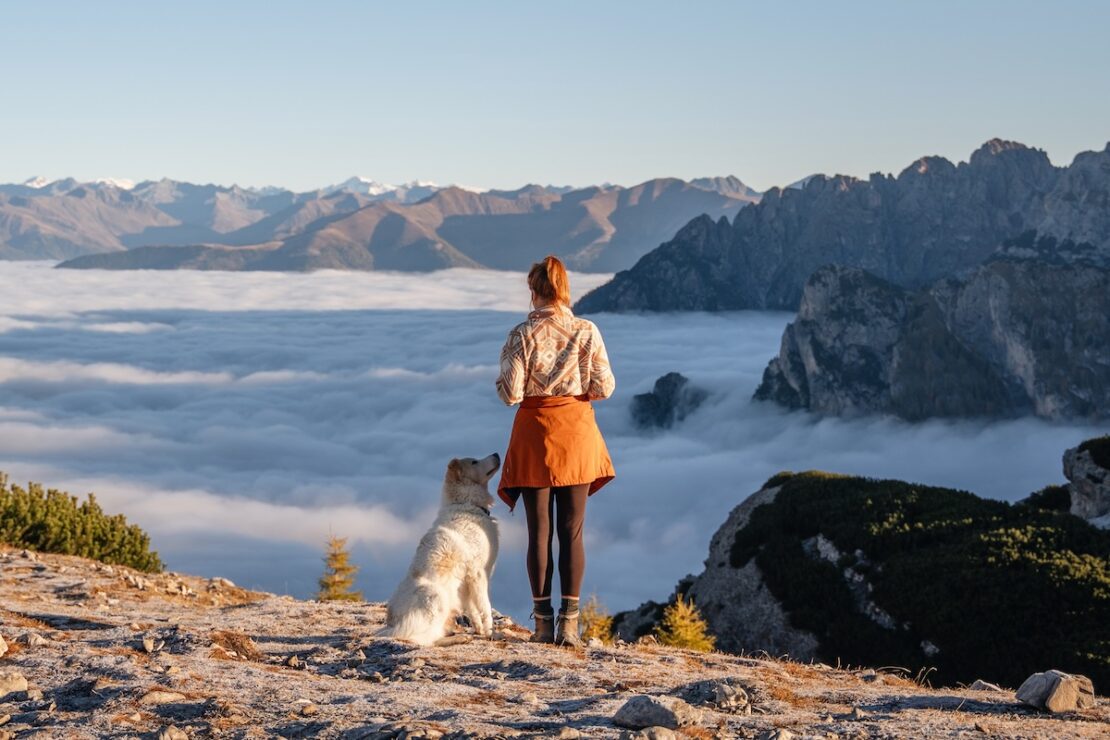 Urlaub mit Hund in den Bergen