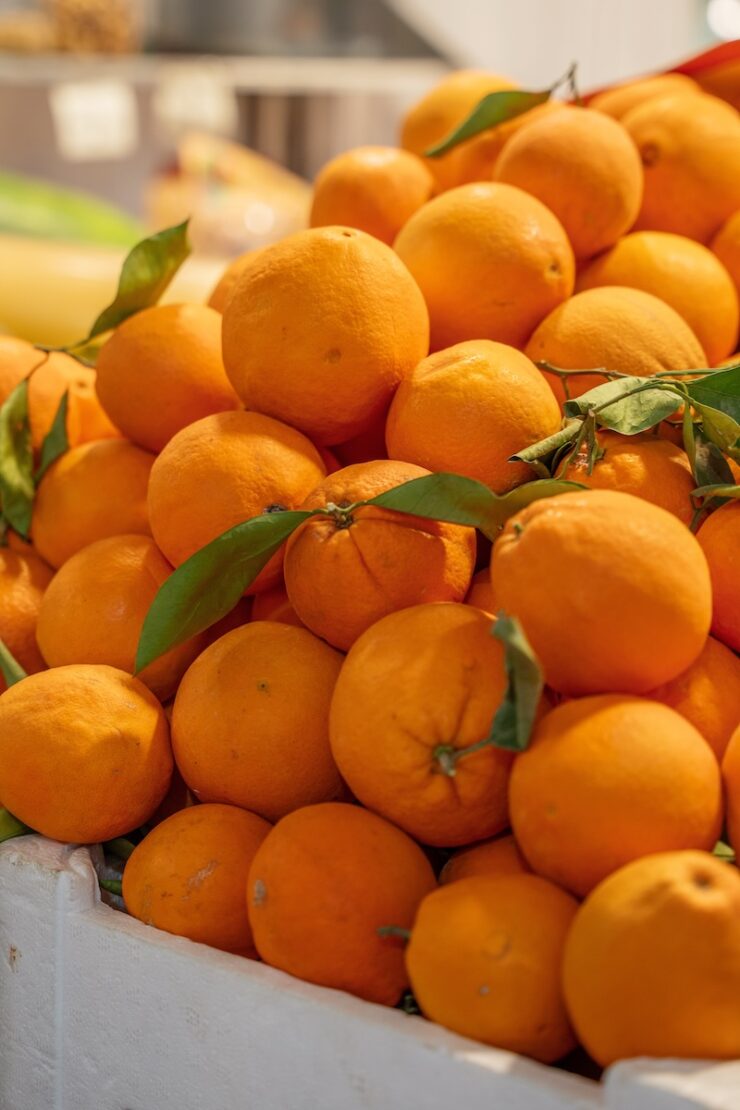 Mercat de Santa Caterina in Barcelona