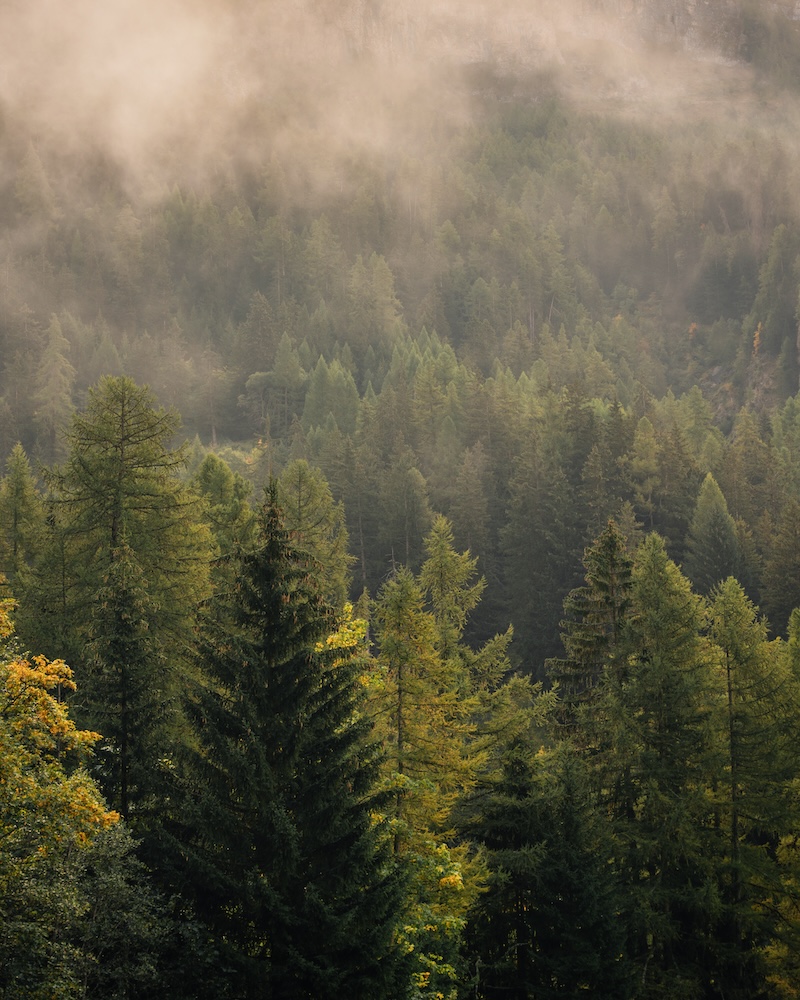 Stille Retreat Bad Antogast Art of Living im Schwarzwald