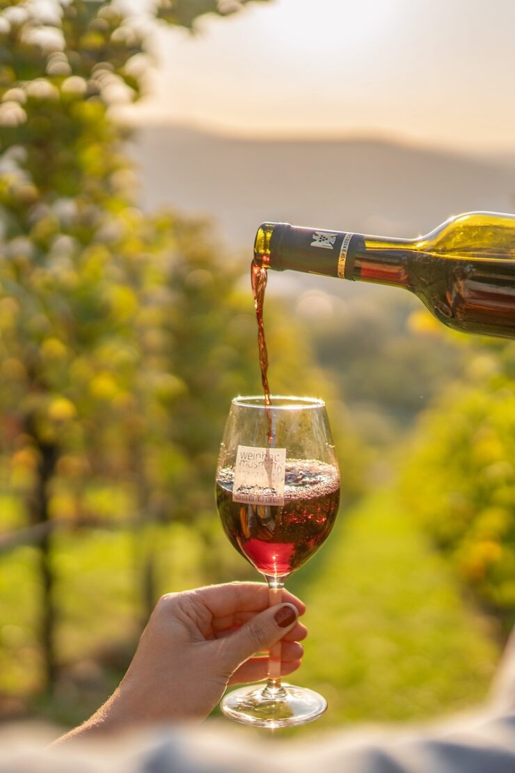 Weinpicknick an der Grabkapelle mit Blick auf Stuttgart
