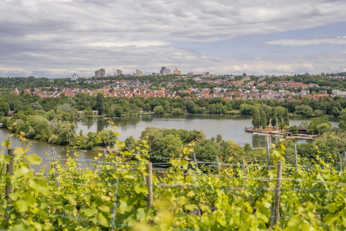 Weinwanderweg Bad Cannstatt Stuttgart Sehenswürdigkeiten