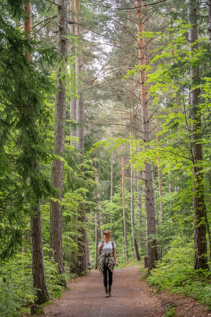 Wandern am Ritten in Südtirol
