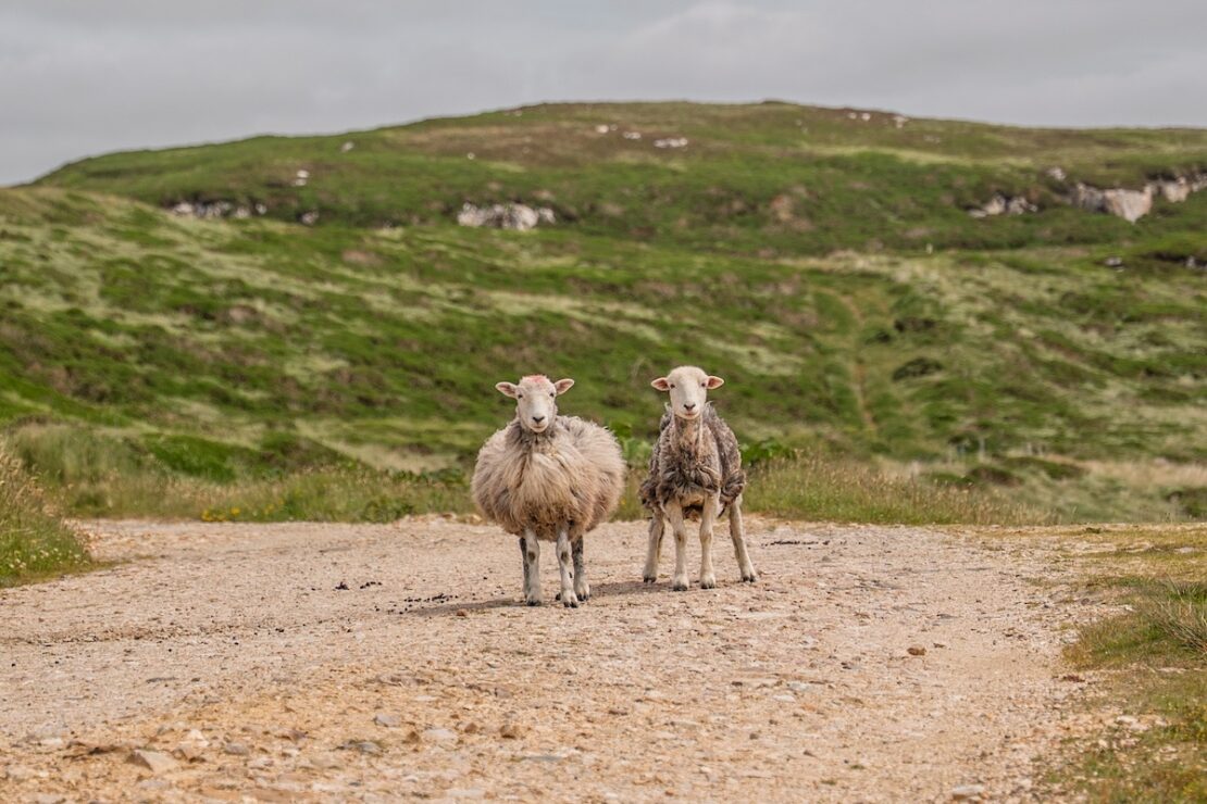Connemara Irland