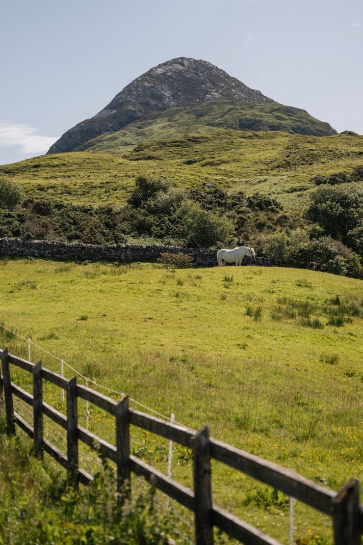 Diamond Hill Connemara Nationalpark