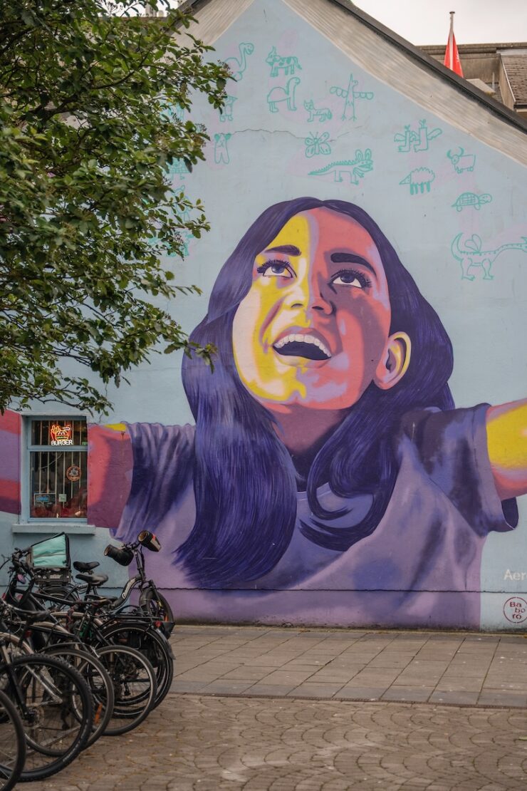 Galway Sehenswürdigkeiten Streetart