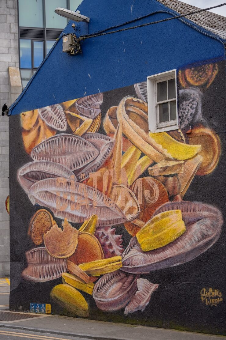 Streetart Galway Sehenswürdigkeiten