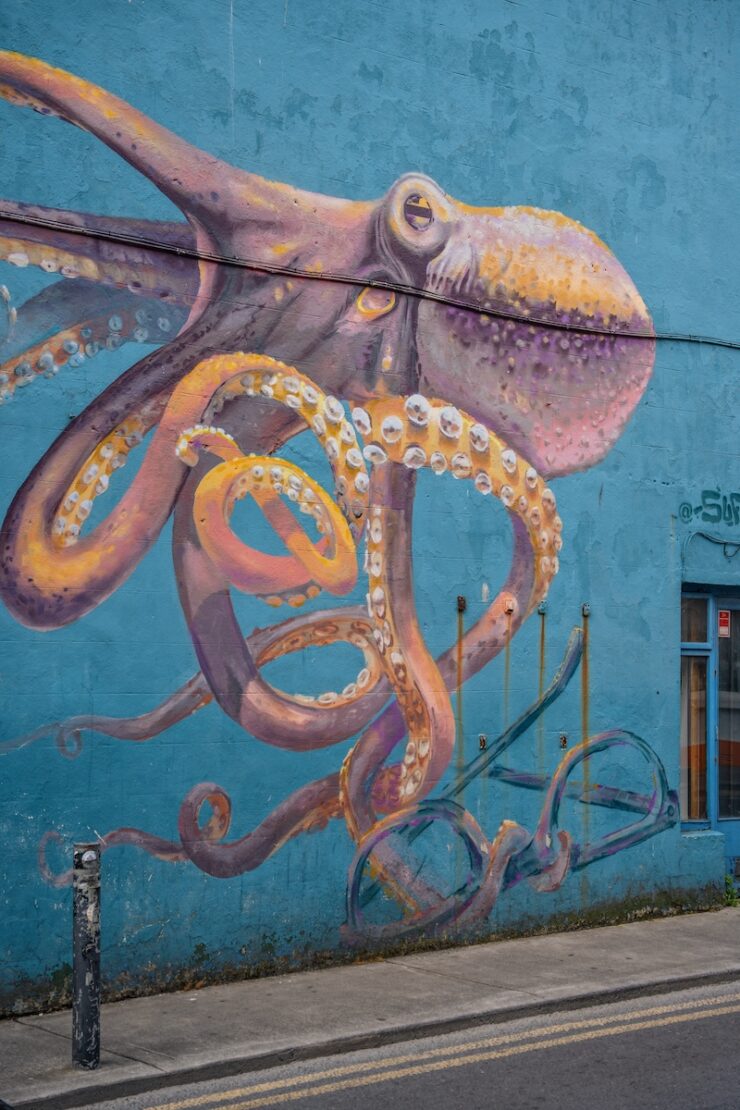 Streetart in Galway City
