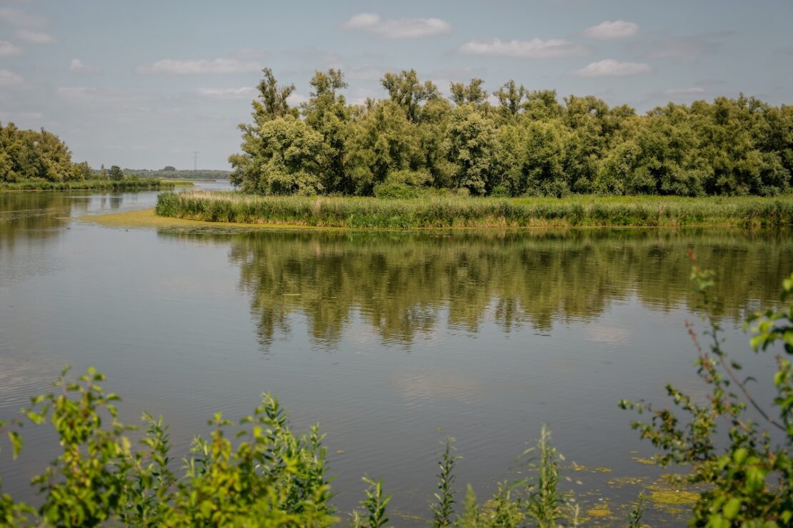 Biesbosch Nationalpark Niederlande