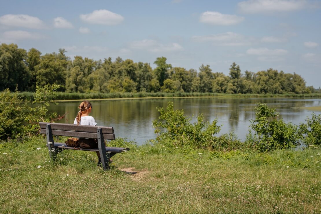 Nationalpark Biesbosch in Brabant