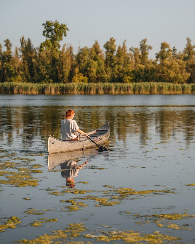 Tipps Nationalpark De Biesbosch Niederlande