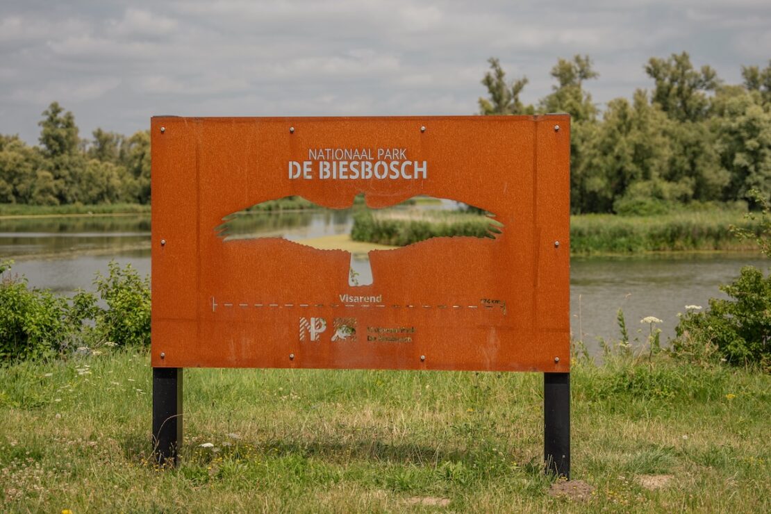 Was macht den Nationalpark De Biesbosch so besonders