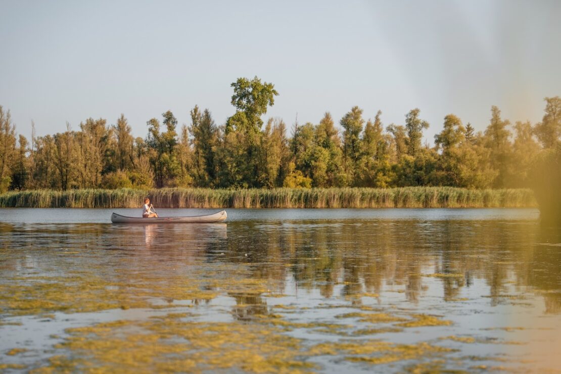 Wasserwege im Nationalpark De Biesbosch
