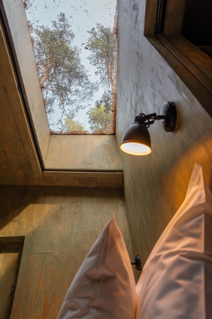 Ausblick aus dem Bett in der Waldsuite Trakt Forest Hotel Schweden