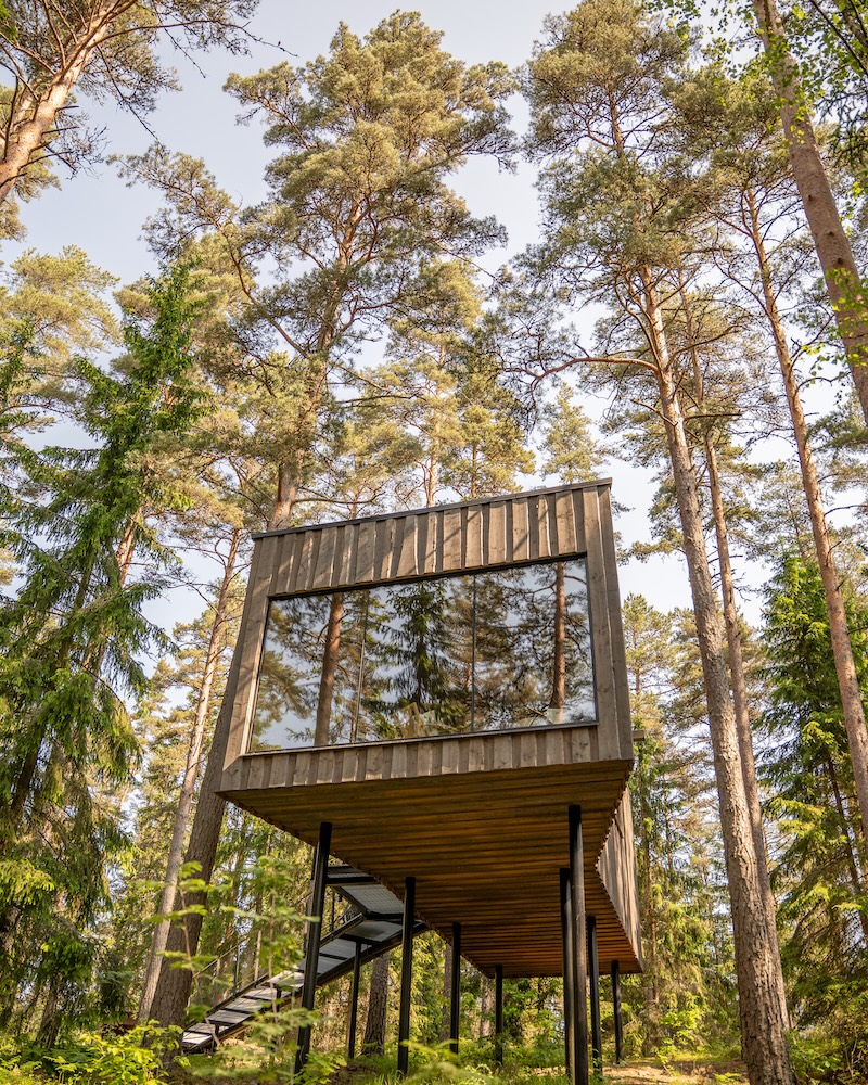 Trakt Forest Hotel Schweden
