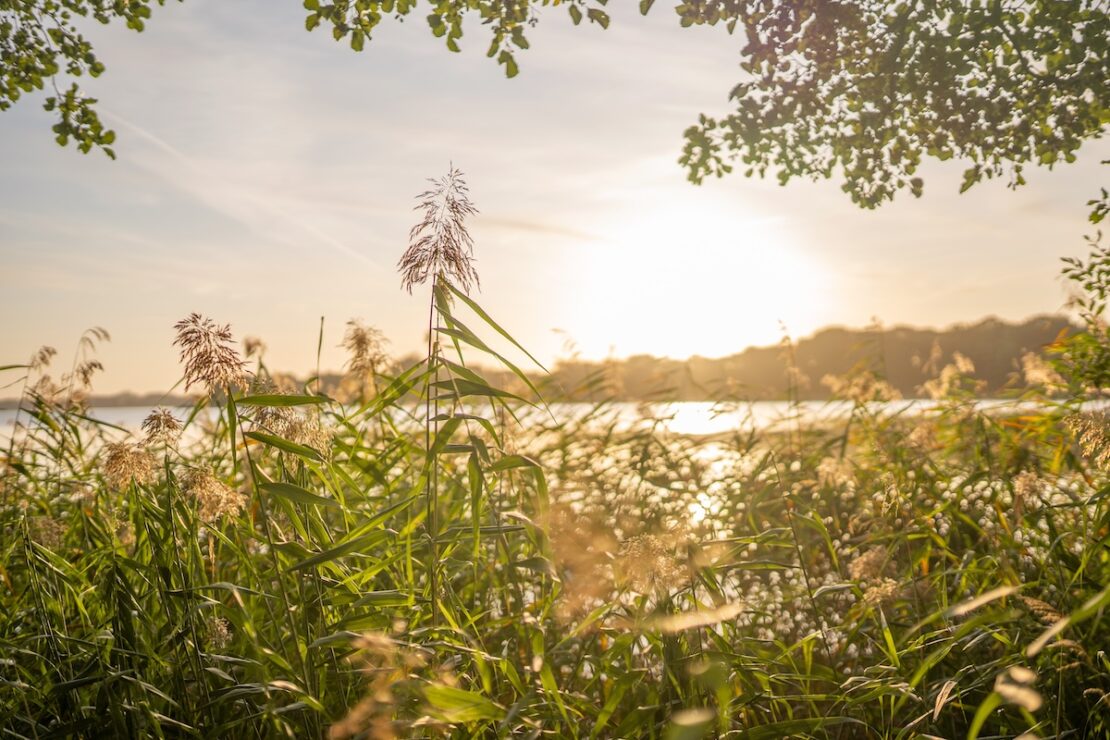 Wandern am Krakower See