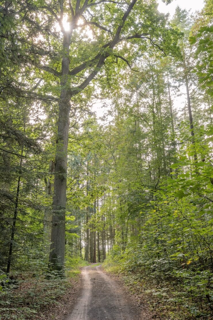 Wandern in Krakow am See