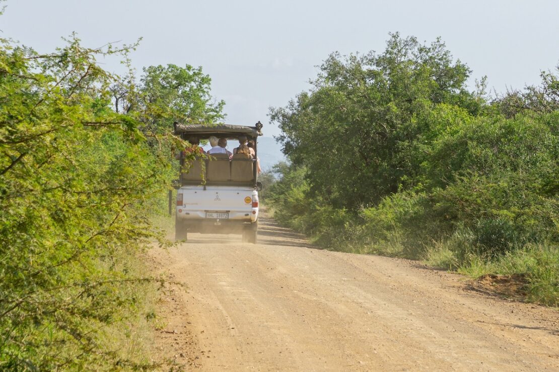nachhaltige safari suedafrika