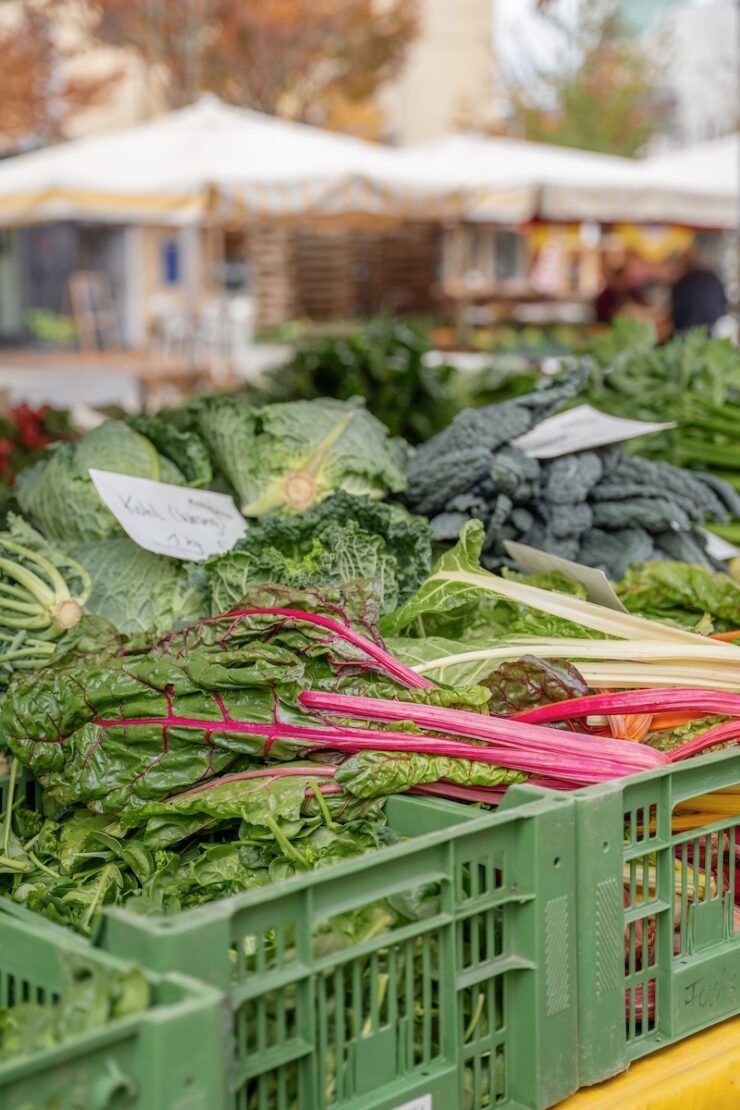 Bauernmarkt kulinarische Tipps fuer Graz