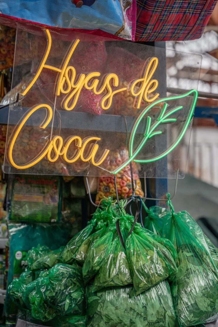 Kokablaetter gegen Hoehenkrankheit in Peru