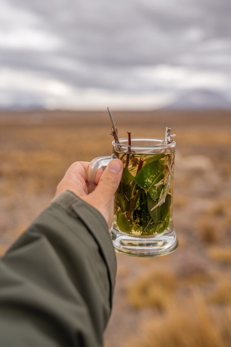 Kokatee gegen Hoehe in Peru