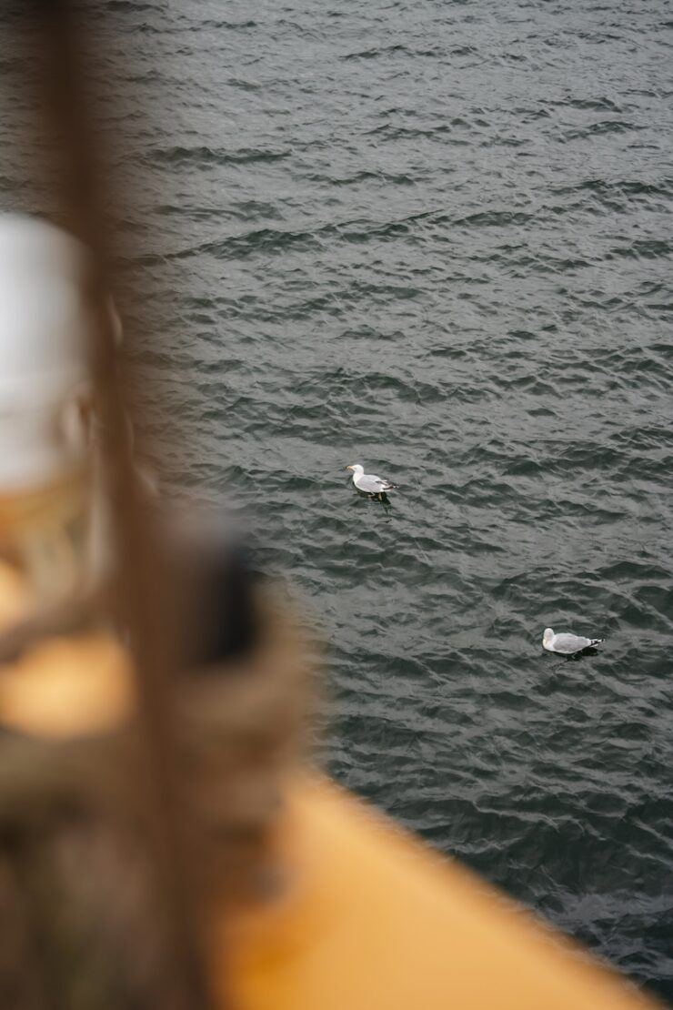 Sehenswuerdigkeiten in Travemuende Viermastbark Passat