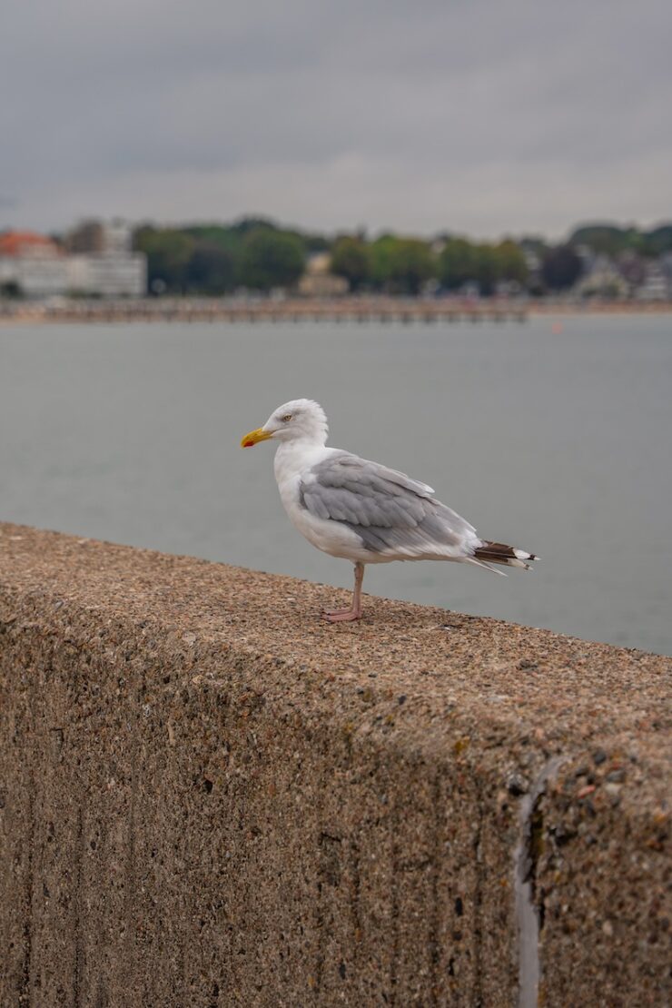 Tipps fuer Travemuende an der Ostsee