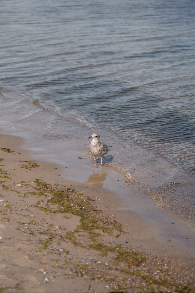 Travemuende Strand