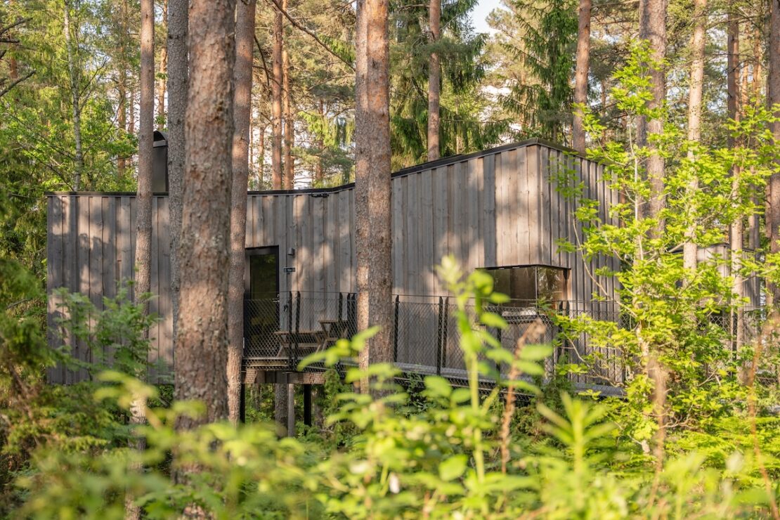 Wie viel kostet eine Waldsuite im Trakt Forest Hotel